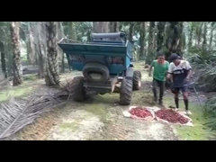 WEA08 पाम तेल ट्रैक्टर