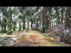 गोल्डन फिश इंजन के साथ ग्रीन मिनी एग्रीकल्चर ट्रैक्टर आर्टिकुलेटेड स्टीयरिंग