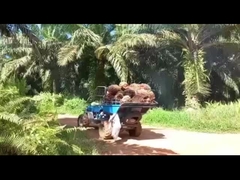 हाइड्रोलिक प्रणाली कुशल पाम तेल निष्कर्षण के लिए पाम तेल ट्रैक्टर मशीन