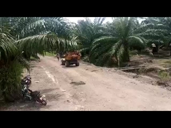 पीटीओ के साथ मल्टी फंक्शनल पाम ऑयल हार्वेस्टिंग मशीन 2400rpm
